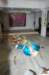 dsc_0070_small.jpg